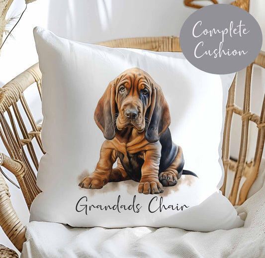 Beautiful Cushion Personalised~Birthday Gift~Dad~Mum~Other~Puppy Blood hound