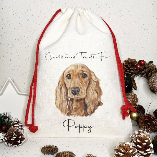 Dog Treat Christmas Personalised Gift Sack~Present bag* Santa ~ Cocker Spaniel