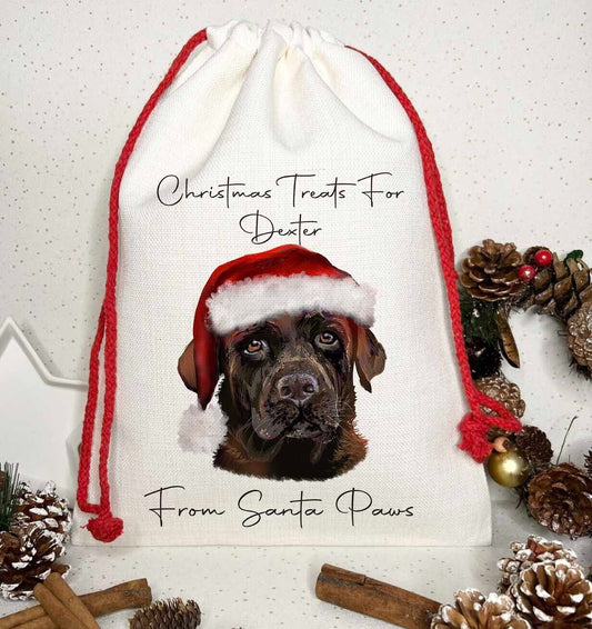 Dog Treat Christmas Personalised Gift Sack~  Present bag* Santa~ Choc Labrador