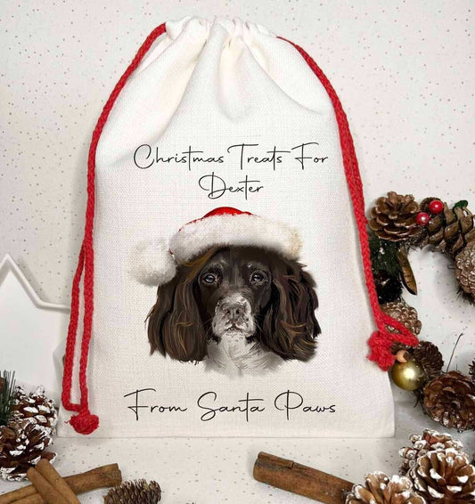 Dog Treat Christmas Personalised Gift Sack~Present bag* Santa ~Springer spaniel