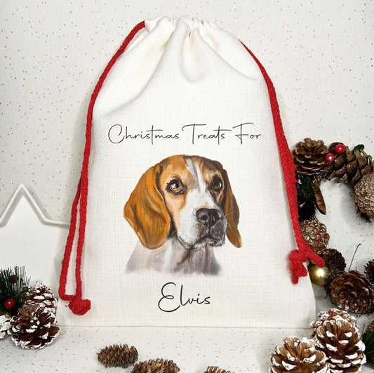 Dog Treat Christmas Personalised Gift Sack~Present bag* Santa ~Beagle 2